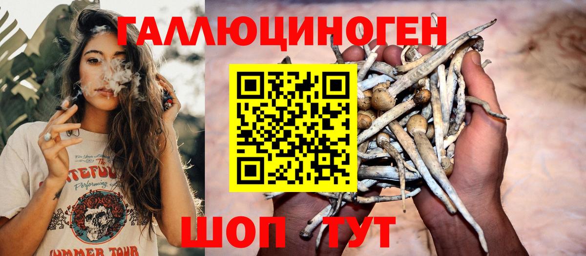 Галлюциногенные грибы ЛСД  Вход с VPN  Новый Уренгой  купить наркоту  Галлюциногенные грибы прущие грибы 